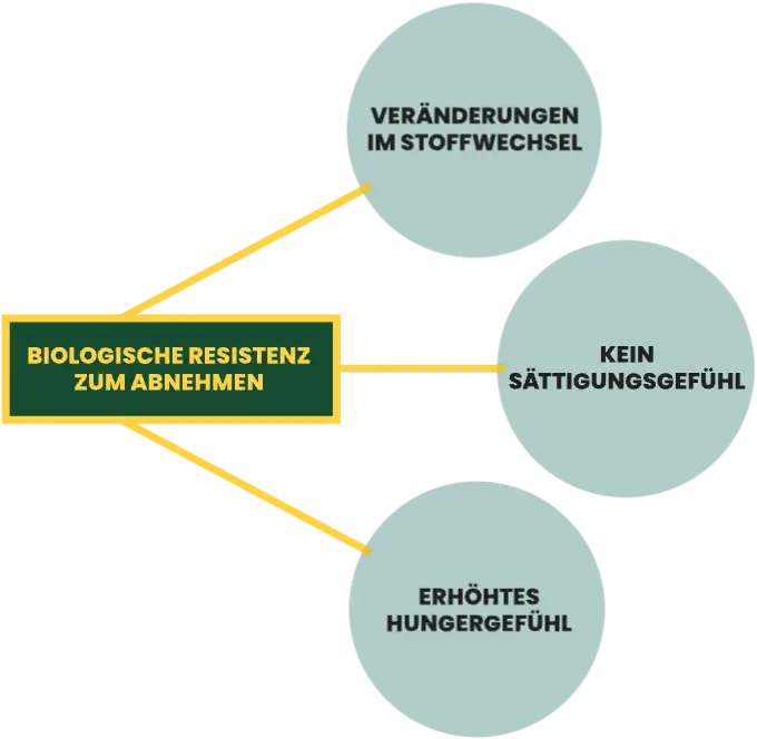 Words "Biological Resistance" attached to three phrases: changes in metabolism, not feeling full, and increased hunger