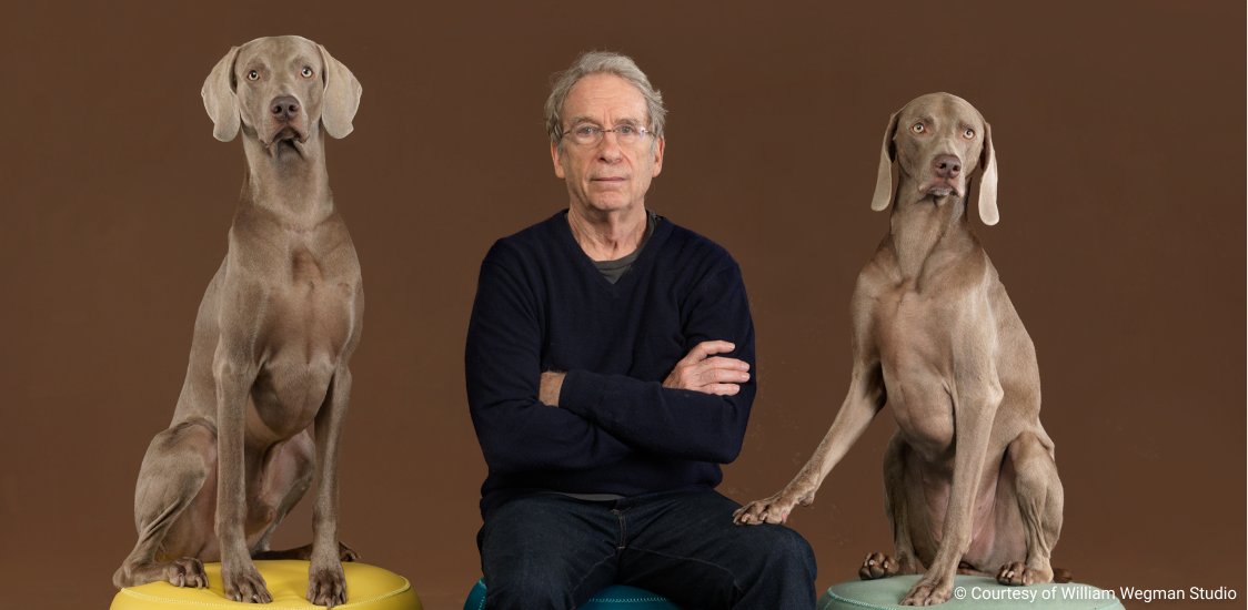 Image of William Wegman