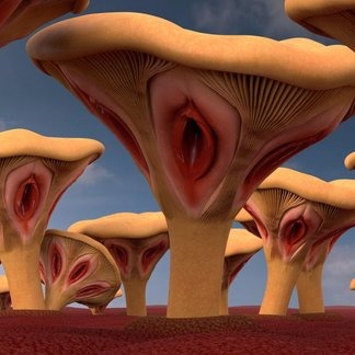 artwork image for Psychosis, Mushroom Field}