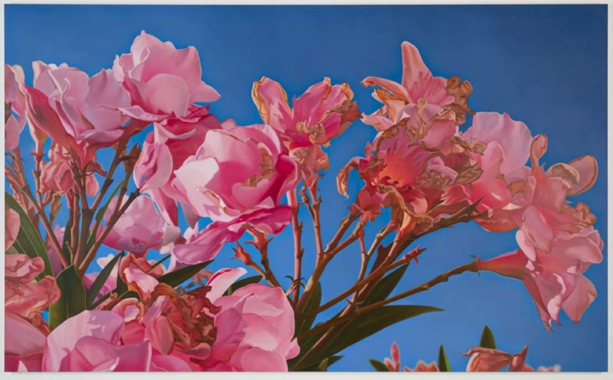 Mustafa Hulusi, Oleander 1, 2016, courtesy of the artist