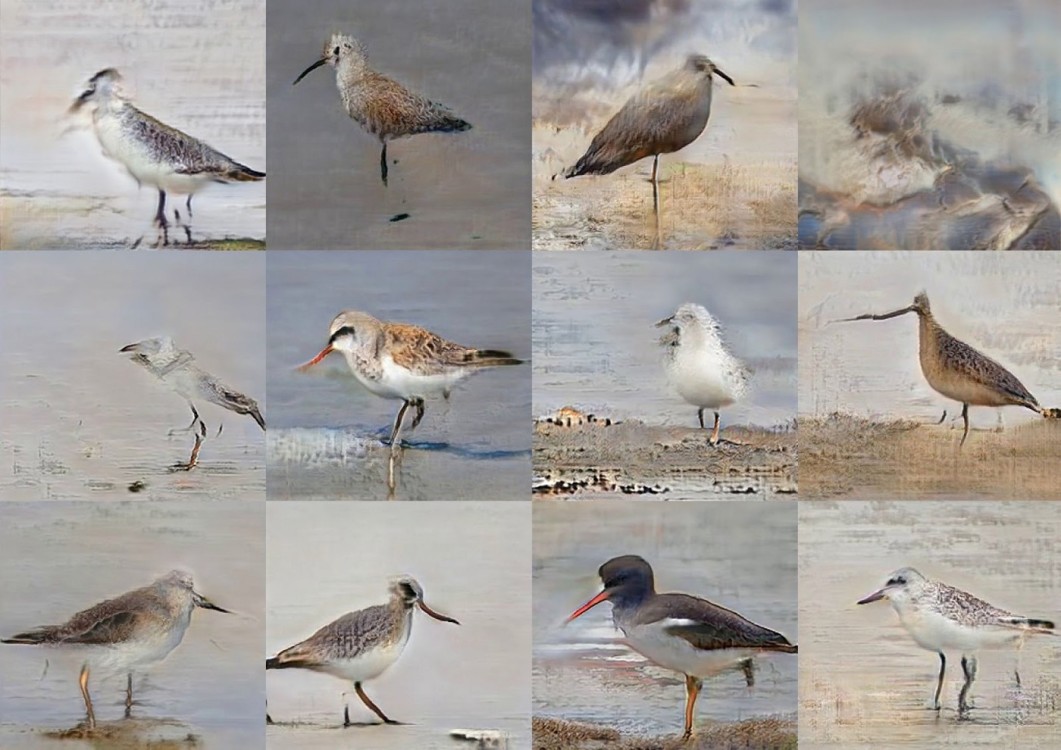 Jake Elwes, CUSP 2019 — montage of machine learning generated birds, courtesy of the artist. 