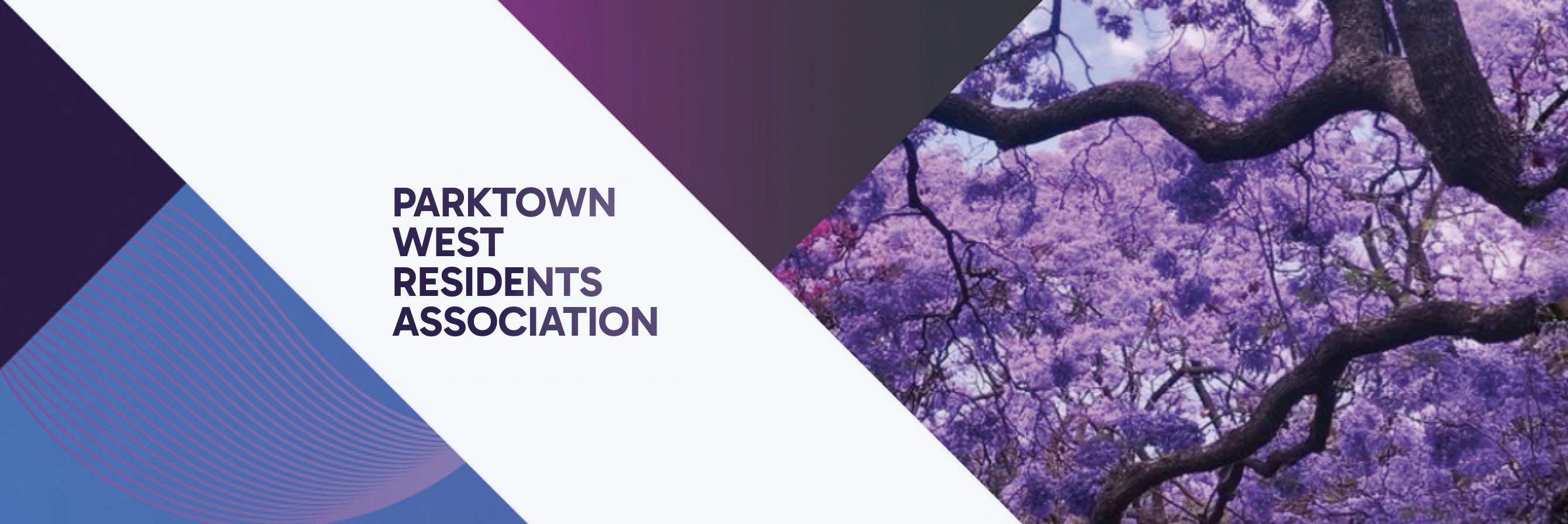 Cover Image for January 2026