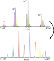Parsimonious Charge Deconvolution For Native Mass Spectrometry