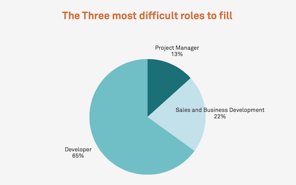 Pie chart showing three most difficult roles to fill.