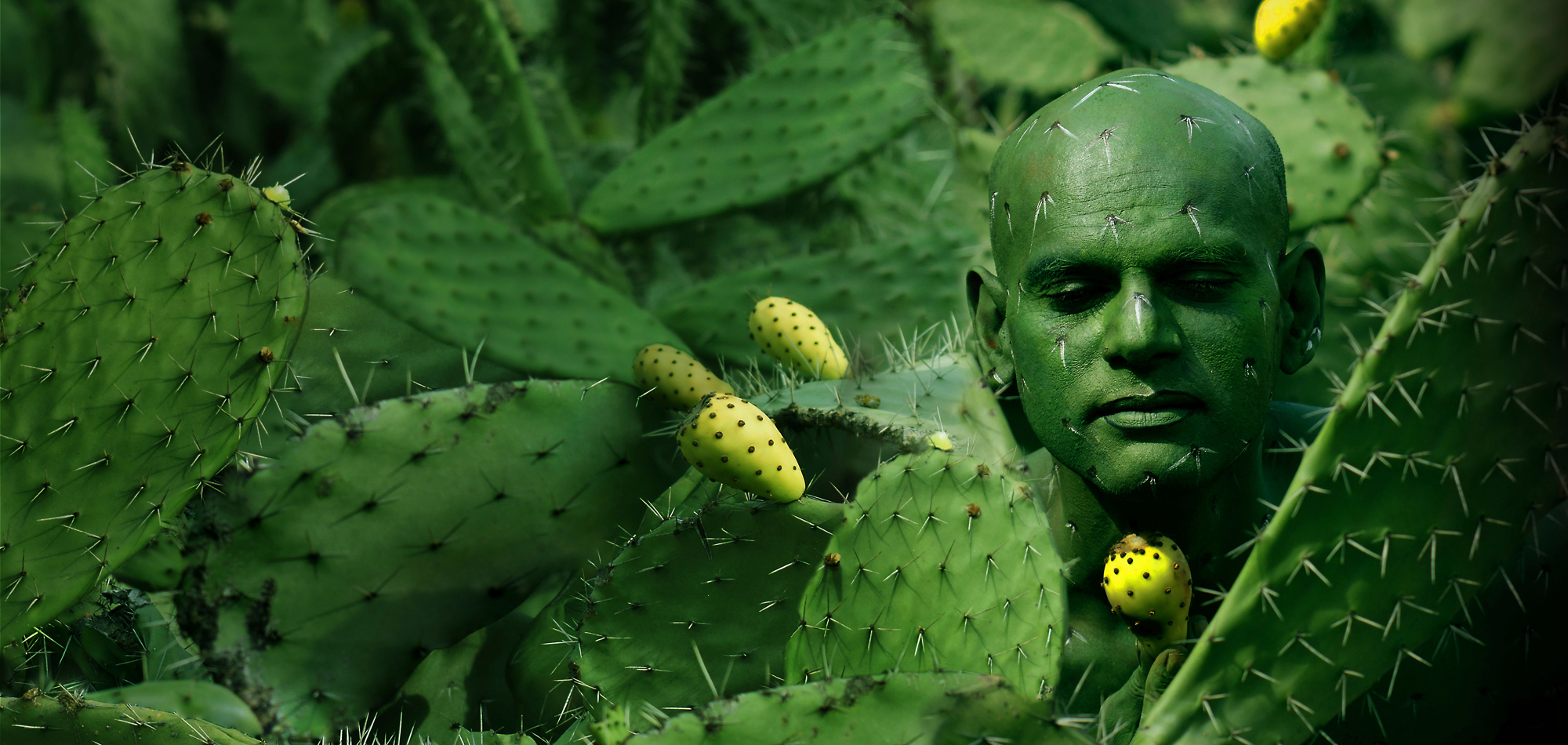 fpm event Fespa2025 content-images cactus-man