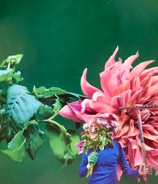 Un été, l'homme au jardin . 