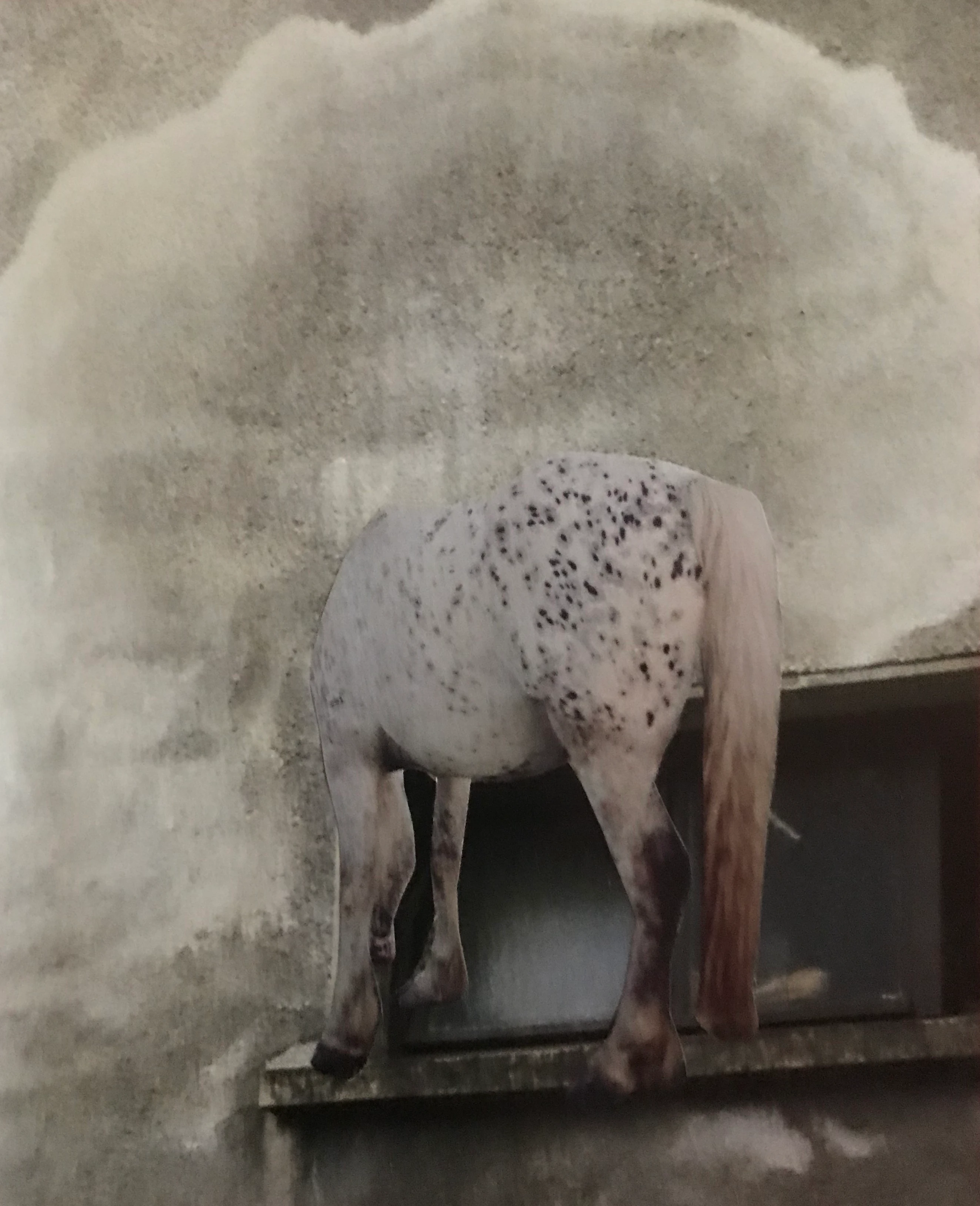 Cheval de Troyes