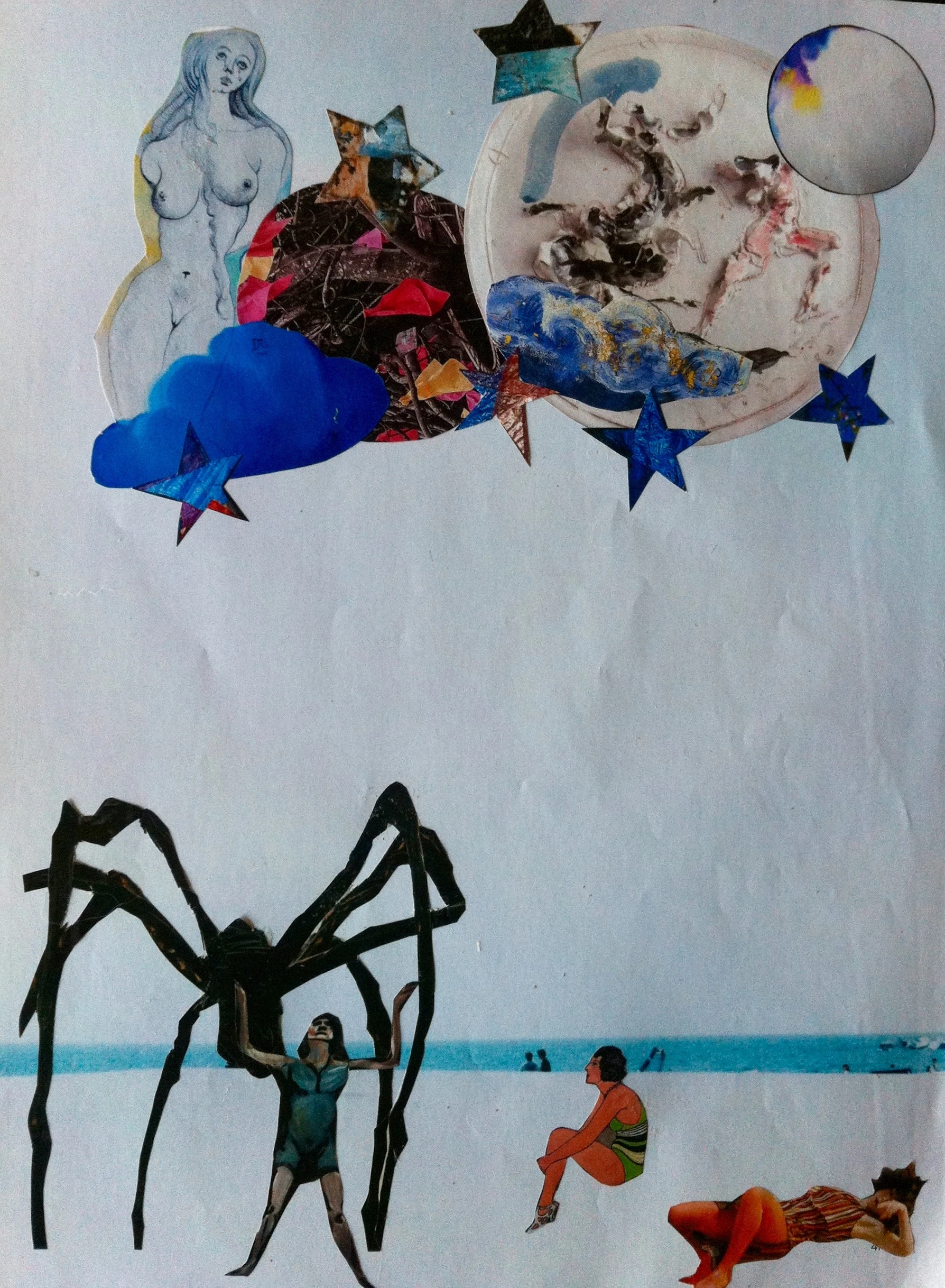 Araignée et étoiles de mer