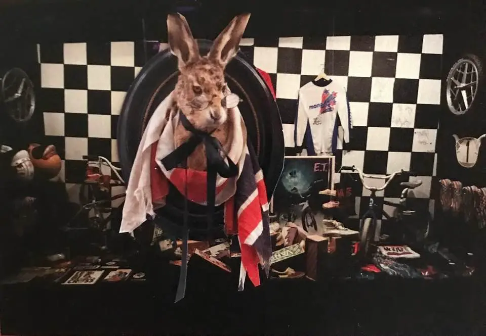 Le lapin d'Alice 