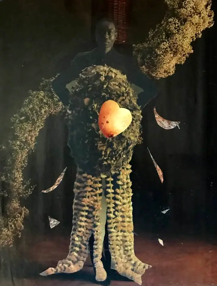 Le coeur en feu 