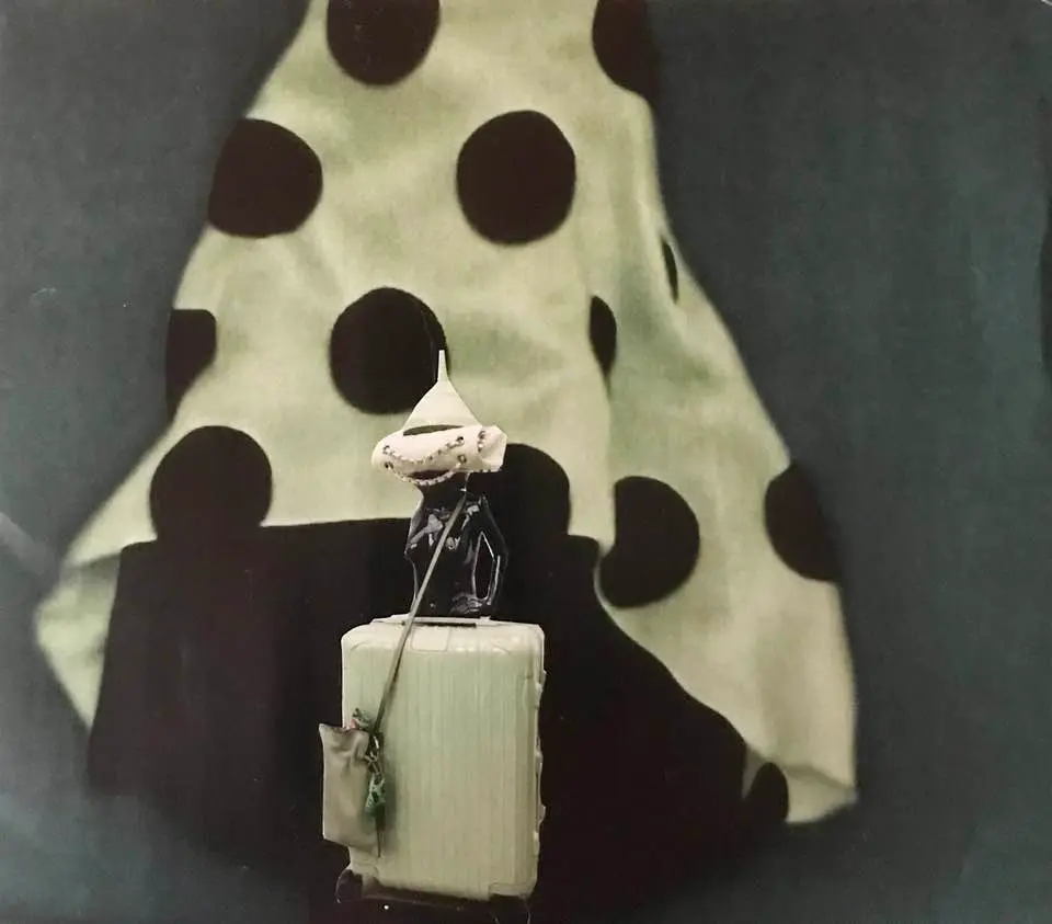 Le voyage de Mary Barnes 