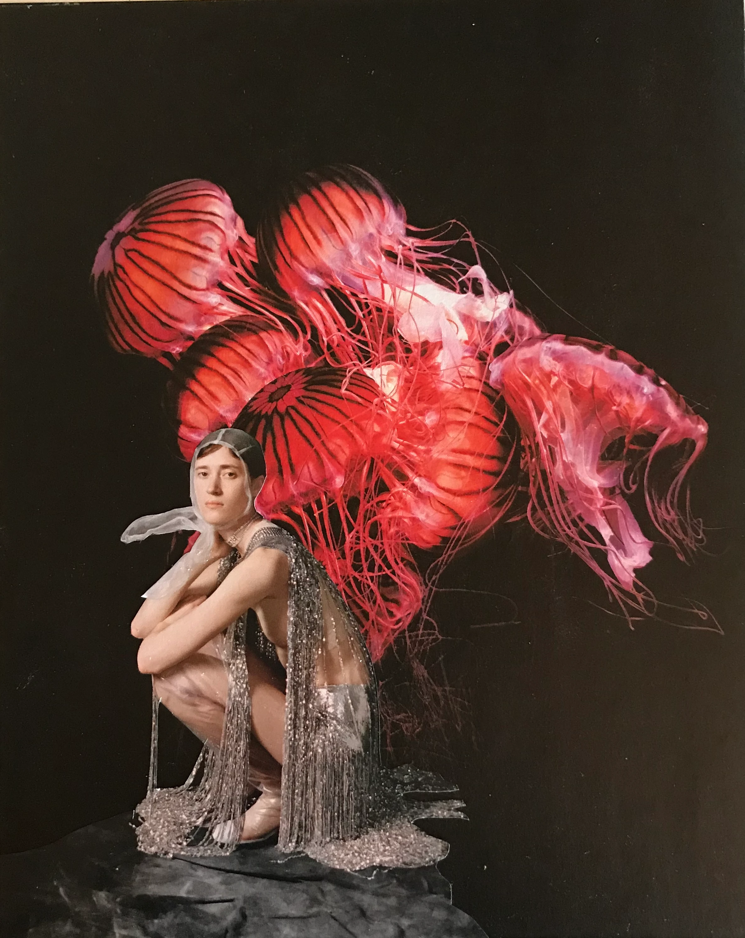 Anthozoa