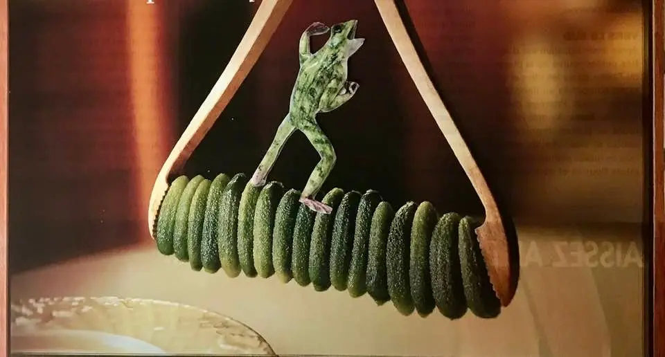 La demoiselle sur une balançoire. 