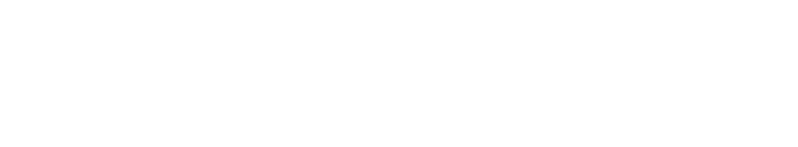 Checkr Pay