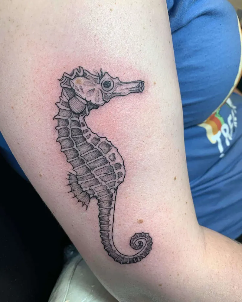 Seahorse