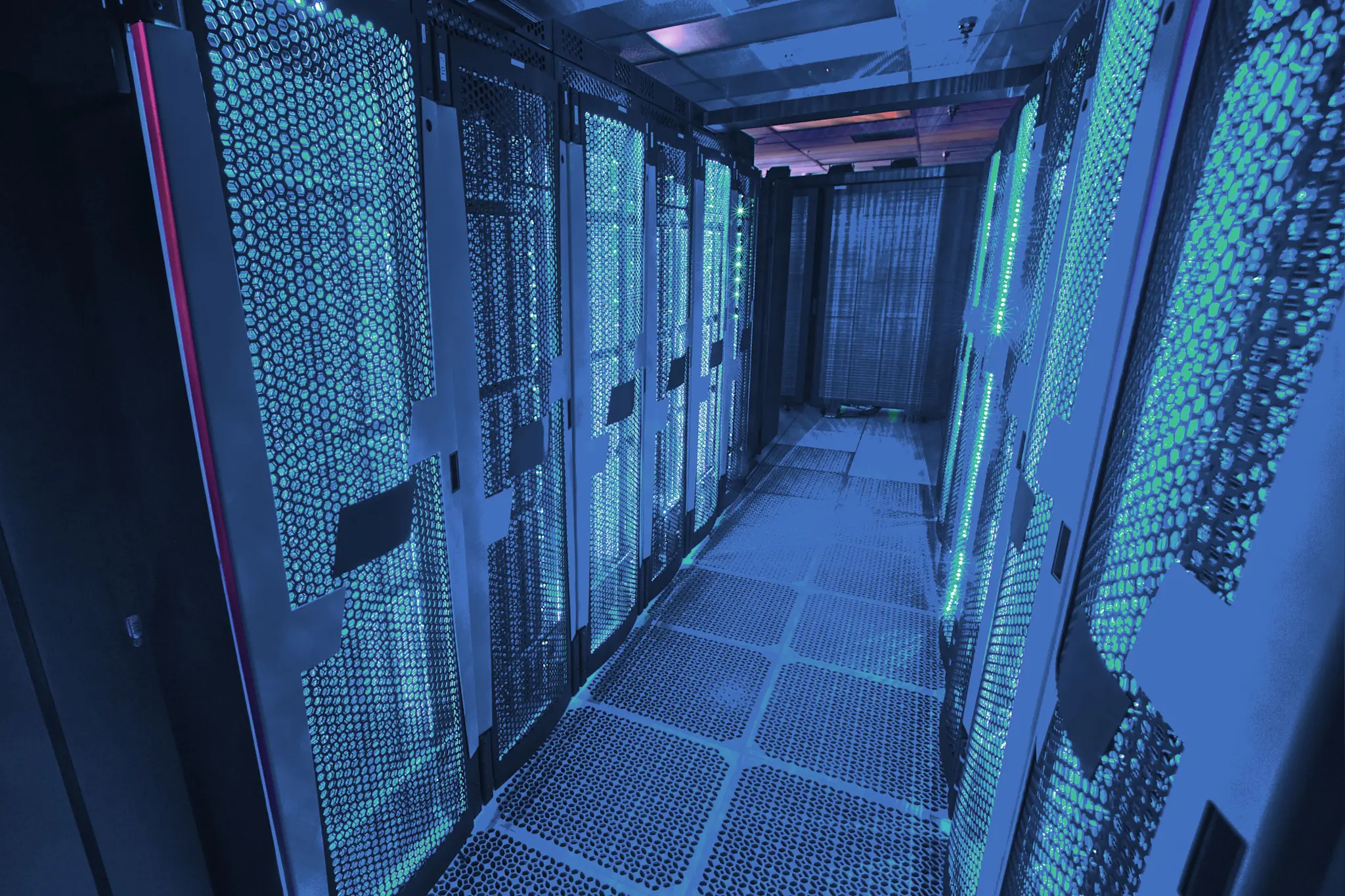 From Crisis to Innovation: The Origins of BugZero