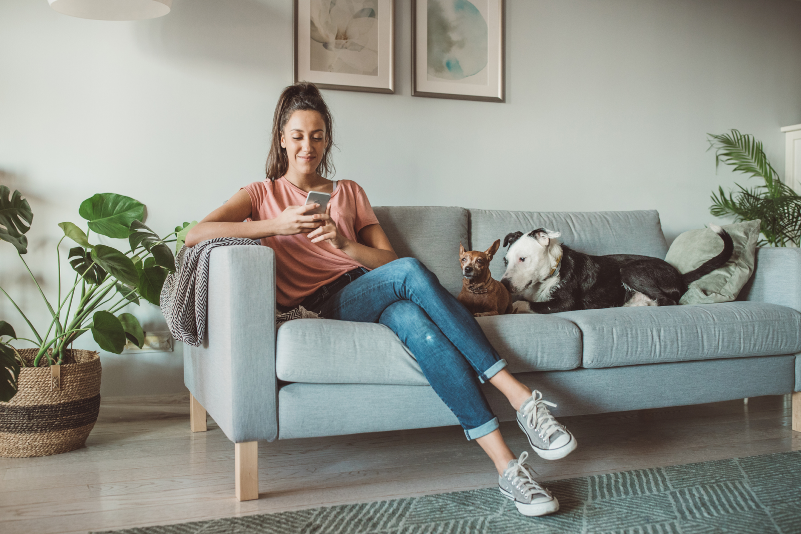 Girl on sofa with dogs