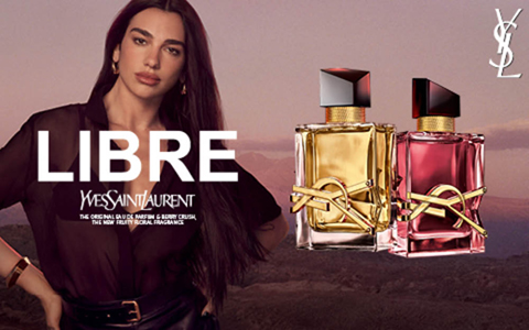BXMOOI YSL wk1719 ΓÇó banner 480x300px