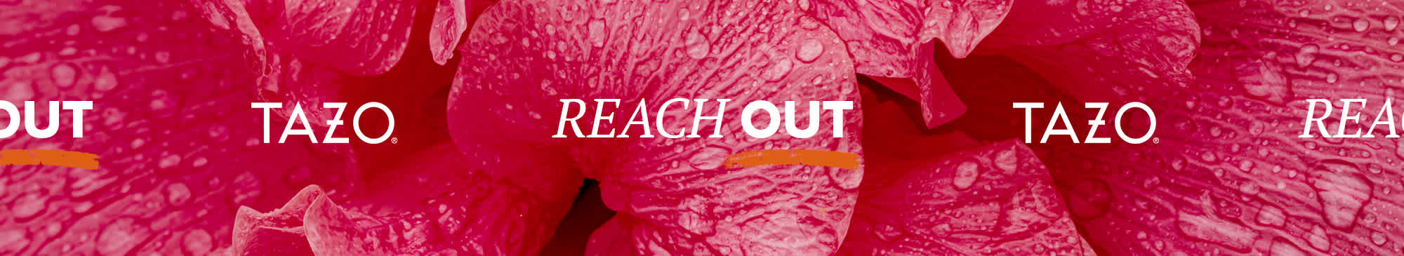 Reach Out image