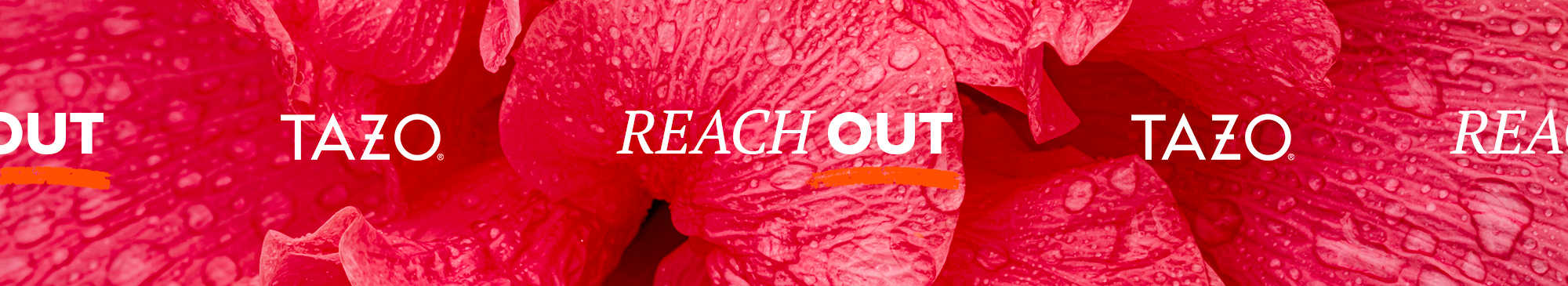 Reach Out image