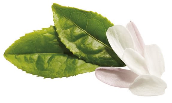 Jasmine Green