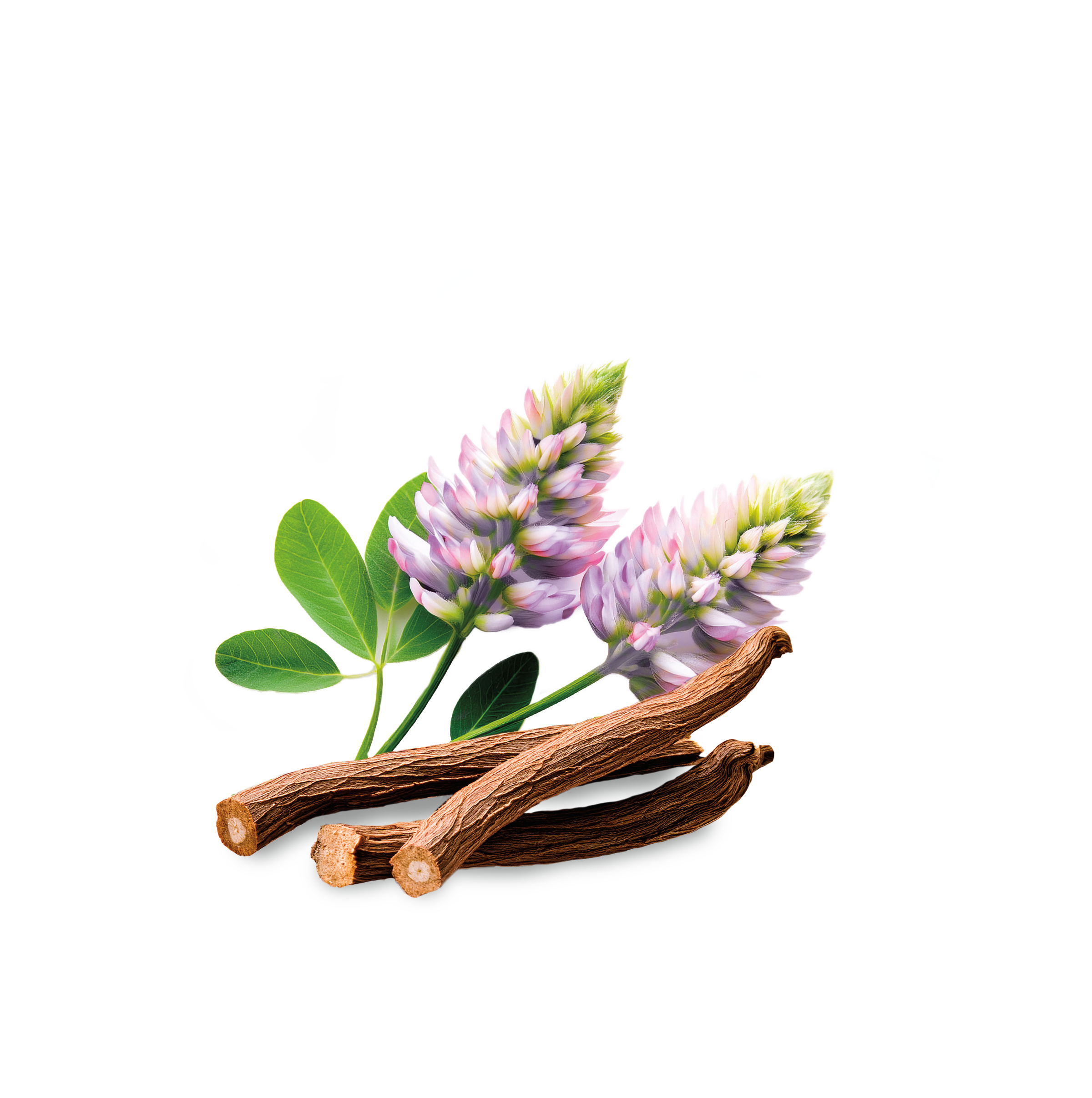 Licorice Root image