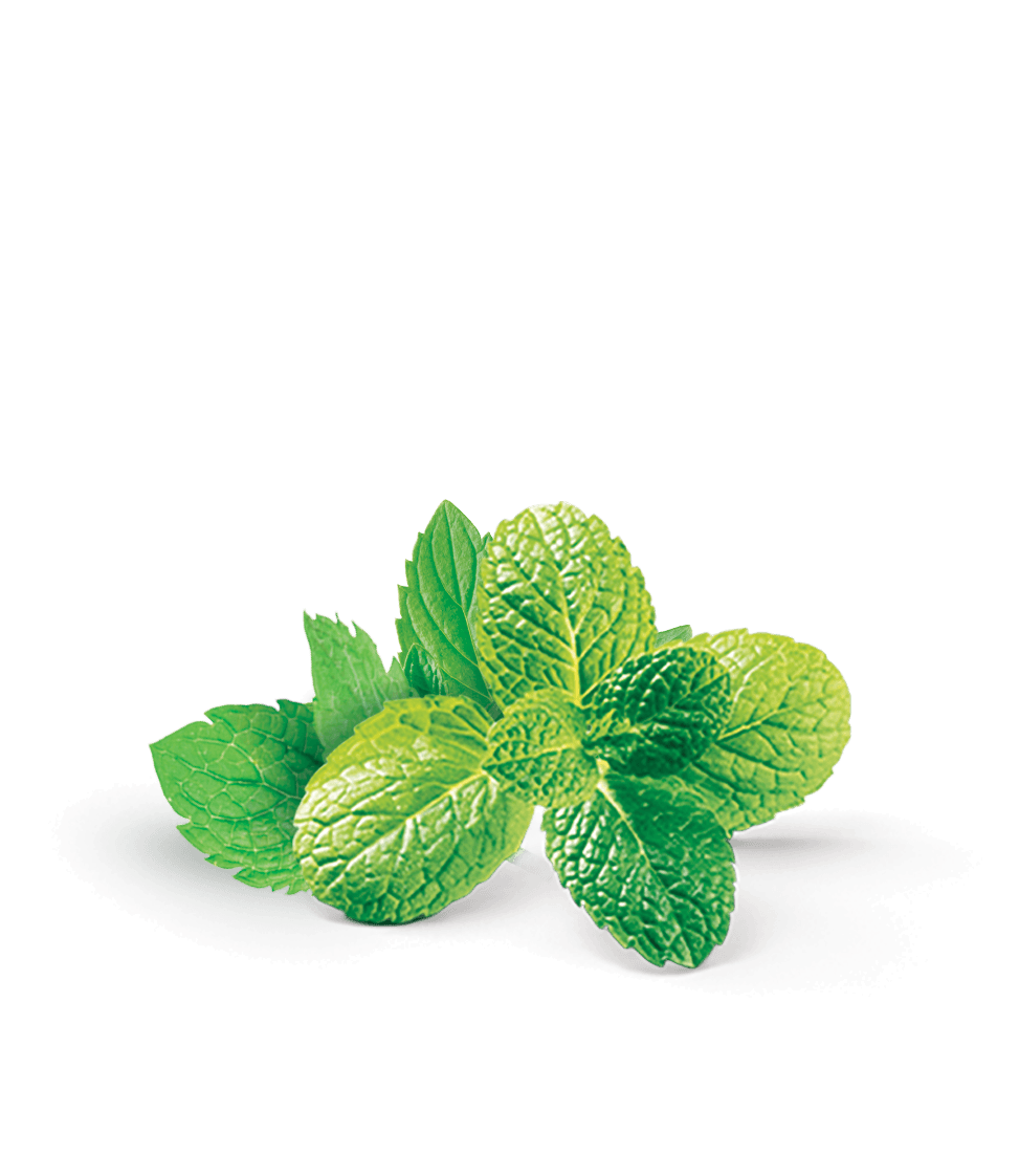 Peppermint image