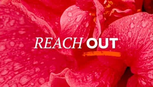 Reach Out image