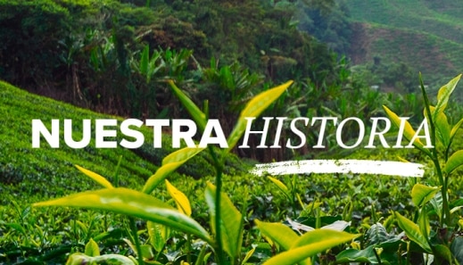 Nuestra historia image