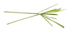 Lemon Grass image