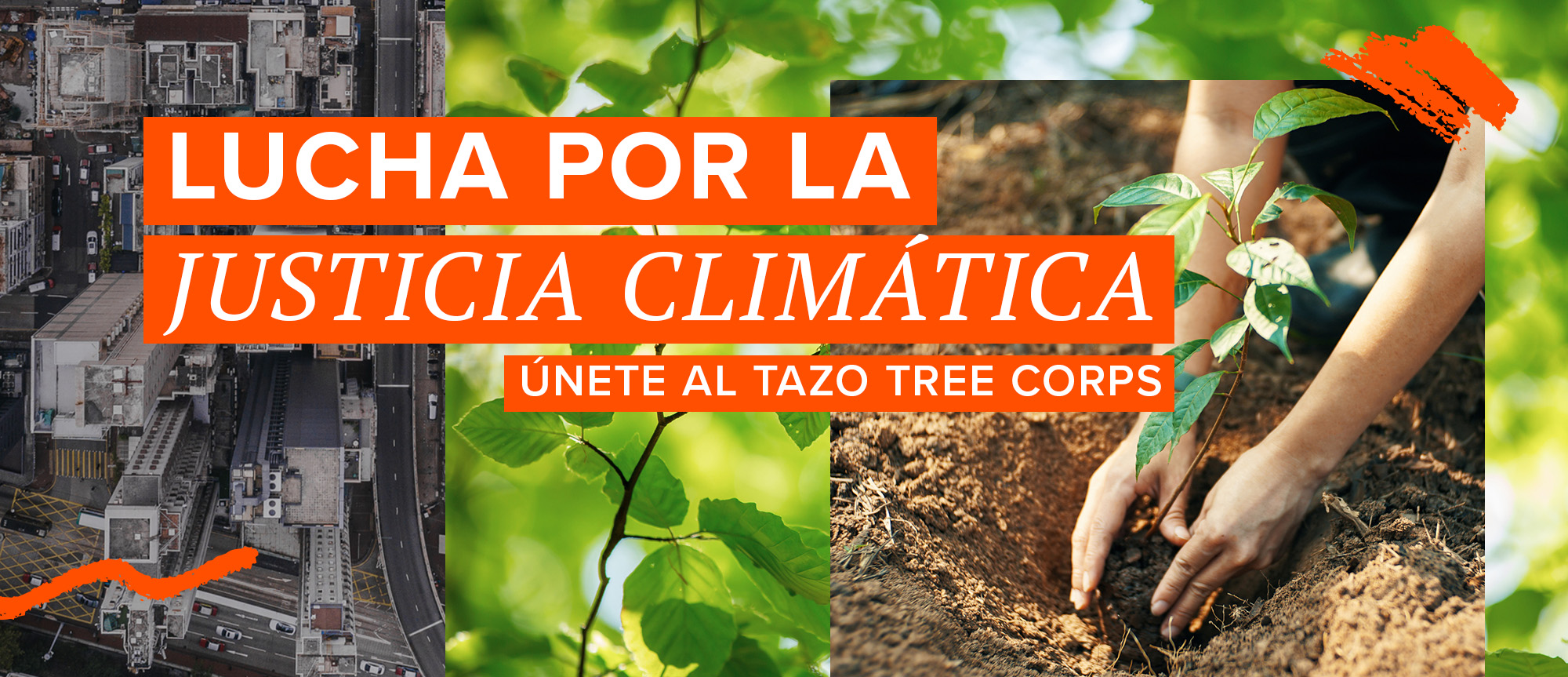 TAZO Climate Justice image