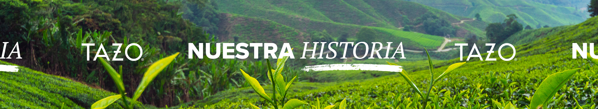 Nuestra historia image