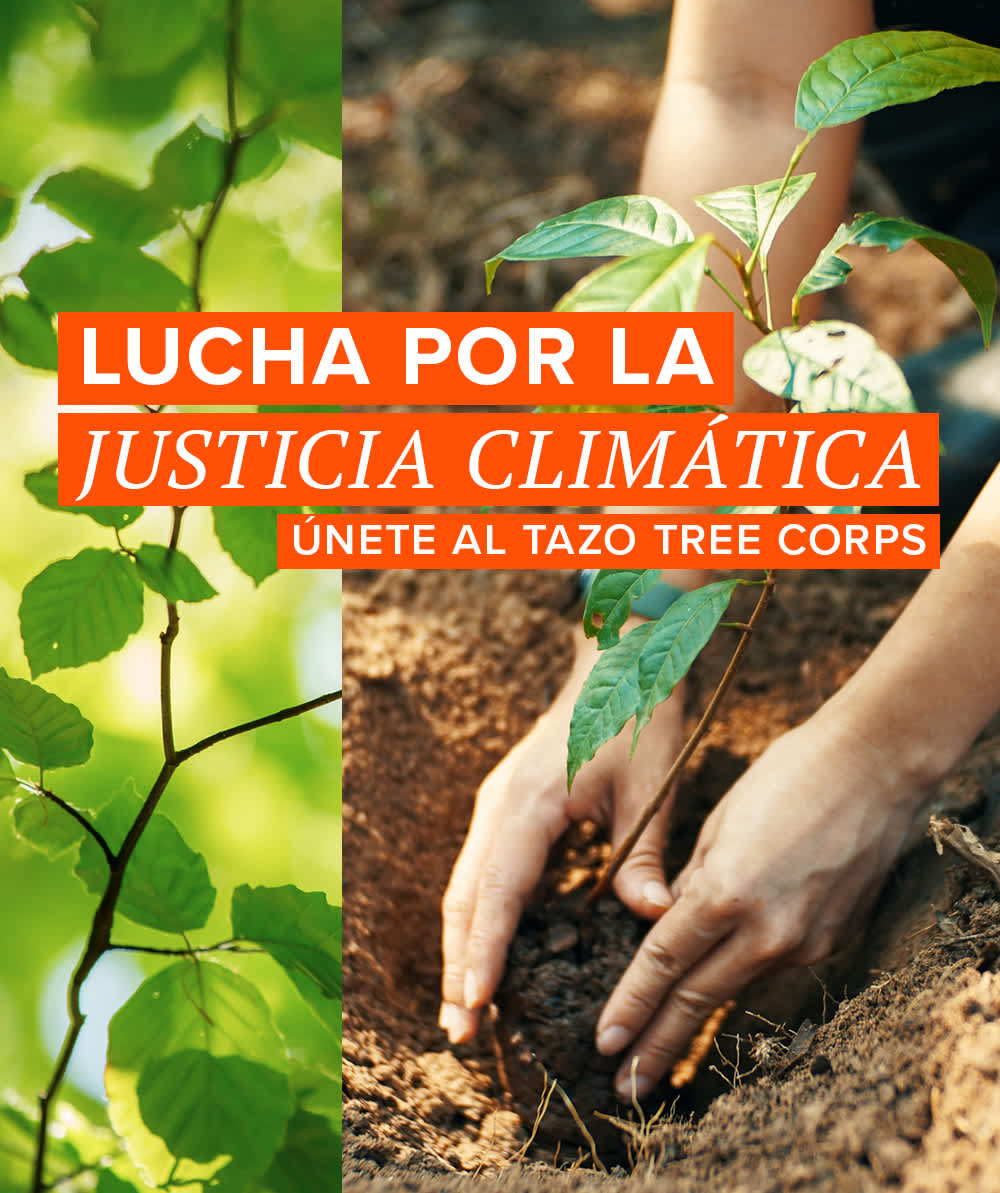 TAZO Climate Justice image