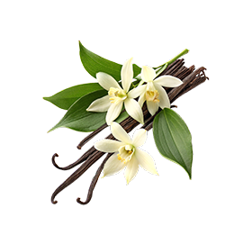 Vanilla Bean + Flower  image