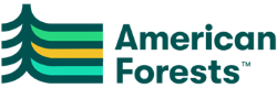 American forest image
