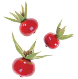 Rose Hips image