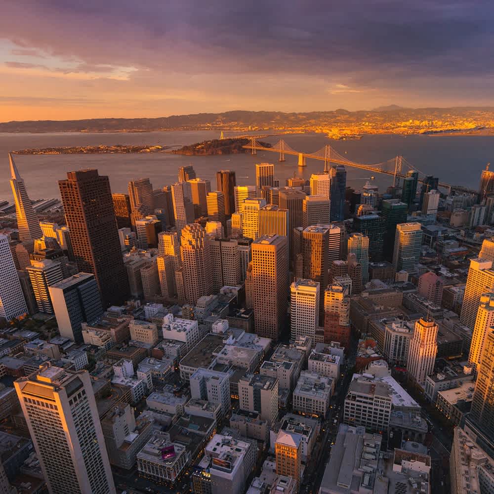 THE SF BAY AREA image