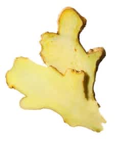 Ginger image