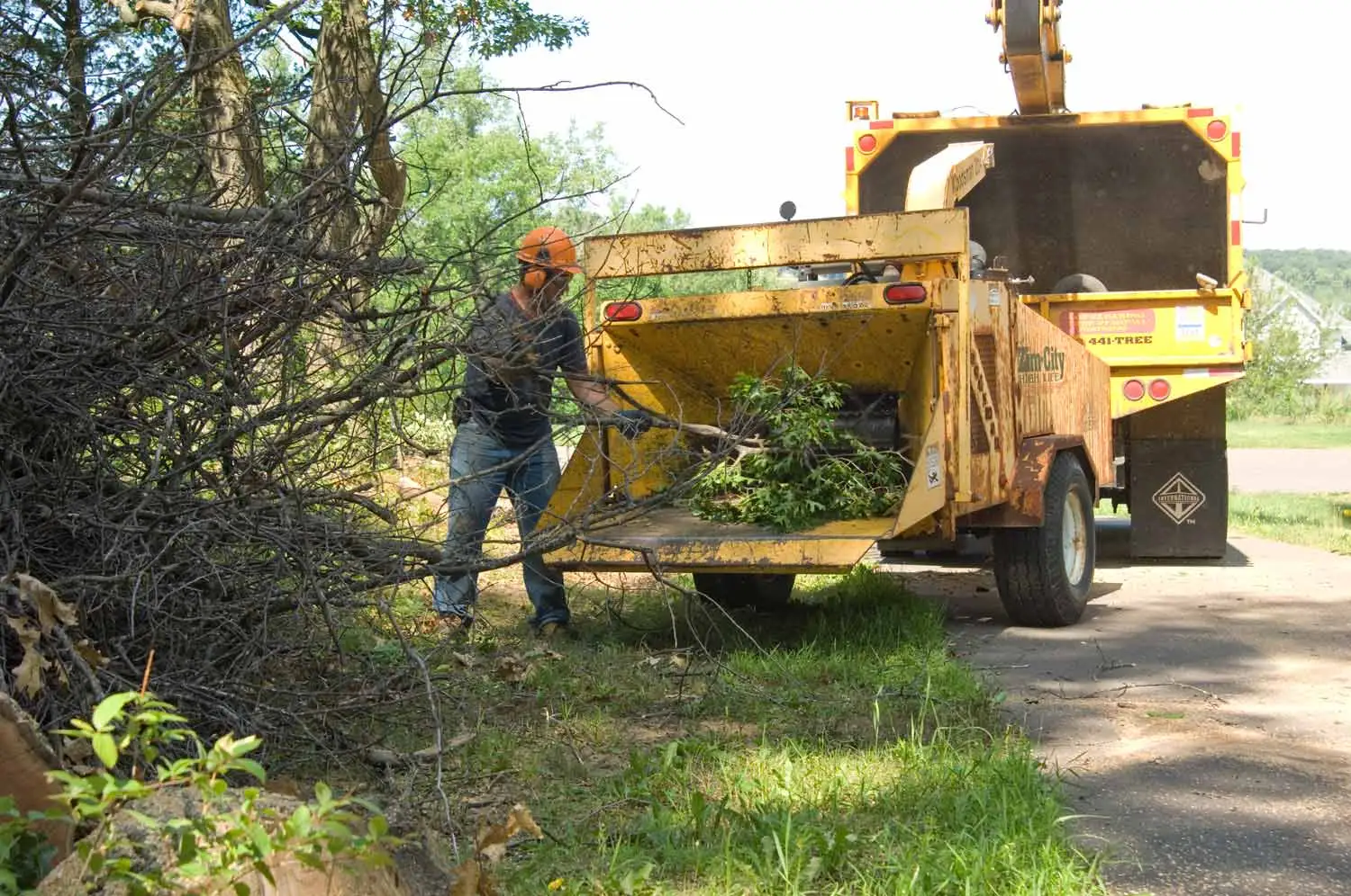 Johnson City Tree Service