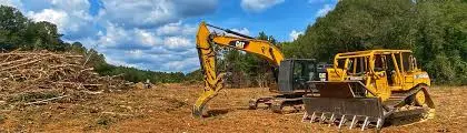 The Environmental Impact of Land Clearing Explained