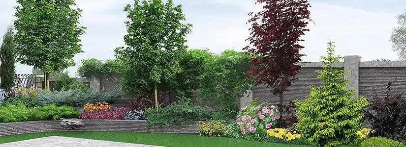 healthy trees