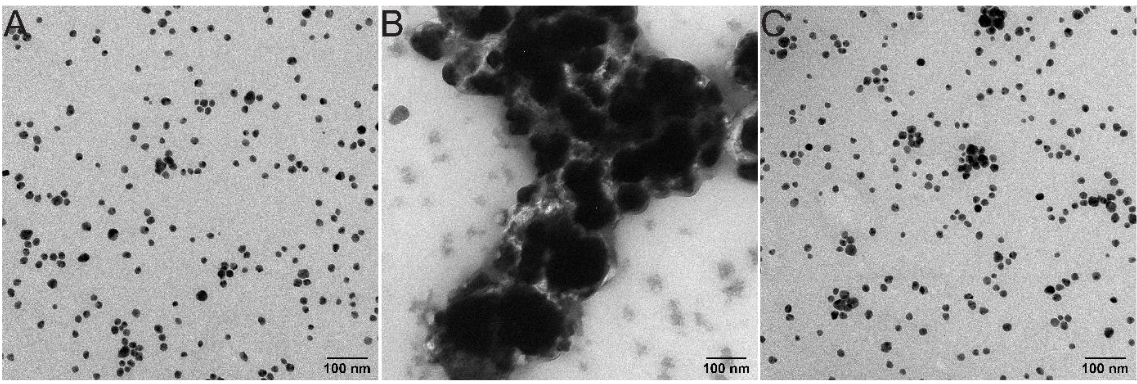 Publications > Analyze Plasmonic Nanoparticle Dispersions