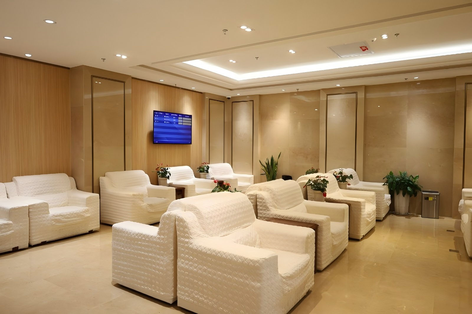 First Class/ Business Class Airport Lounge V3