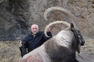 Altay Ibex result