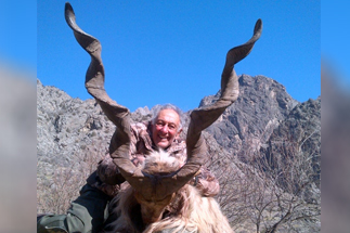 Bukharan Markhor result