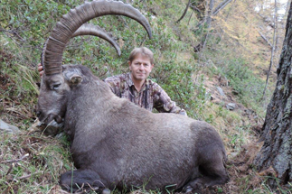 Alpine Ibex result
