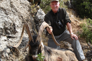 Bezoar (Hybrid) Iibex result