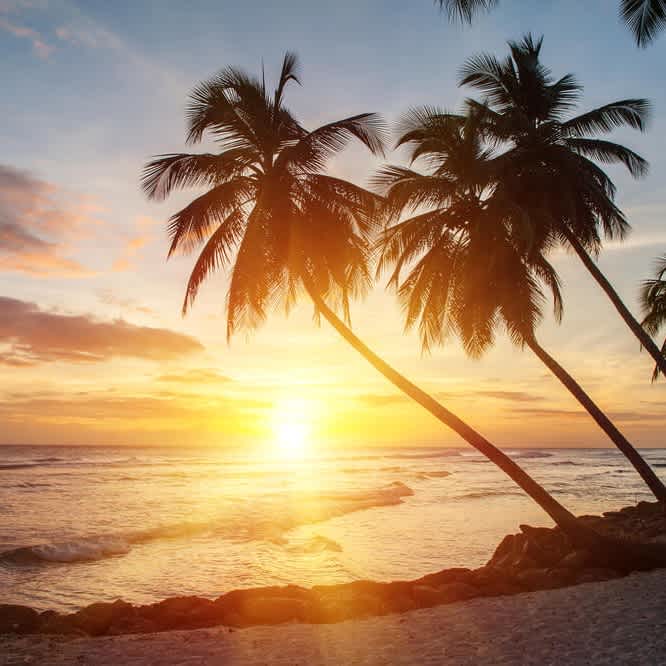 Sonnuntergang in der Karibik am Strand mit Palmen