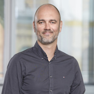 dirk ziegener head of it studitemps