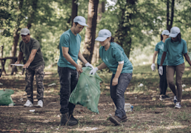 freiwilligenarbeit jobmensa